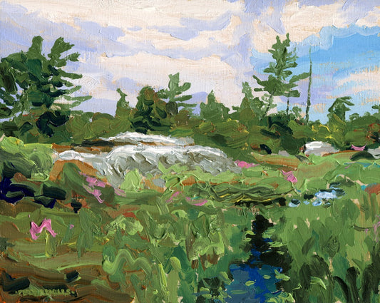 Bog on Puddick Island