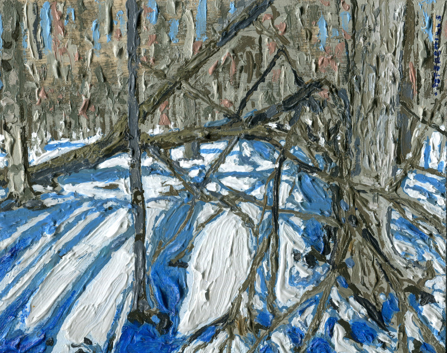 Branch Tangle and Snow