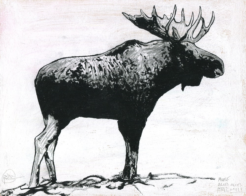 Bull Moose