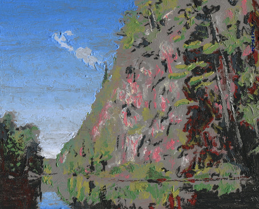 Cliff on the Barron River