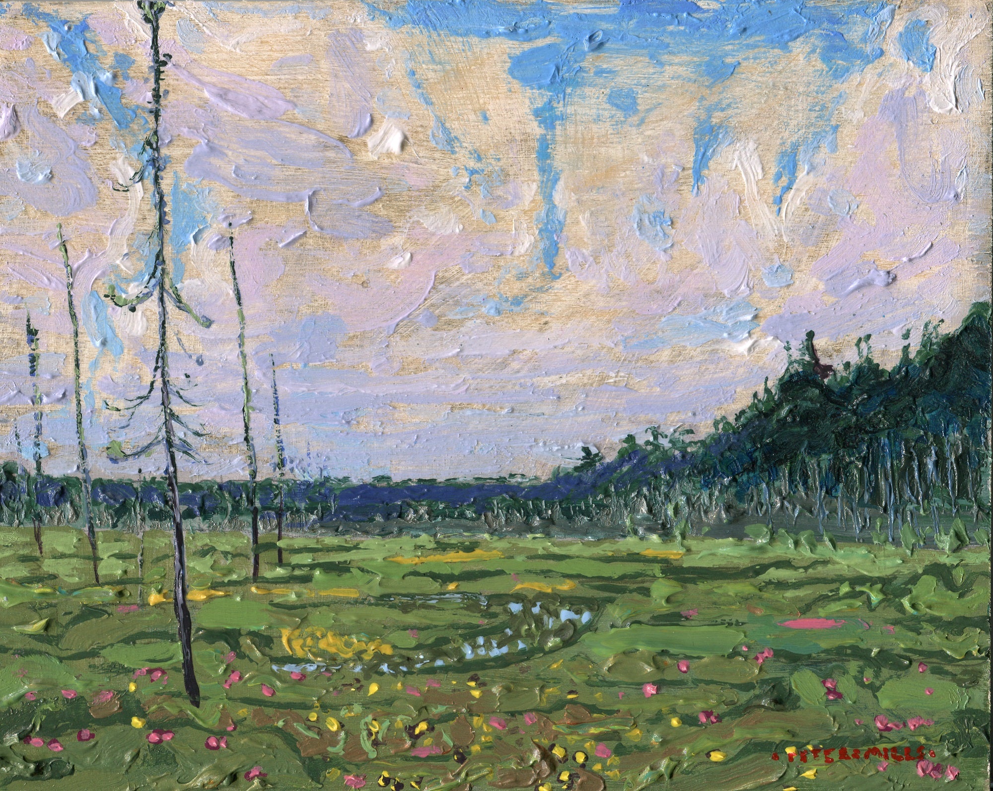 Clouds and Flowers on the Muskeg