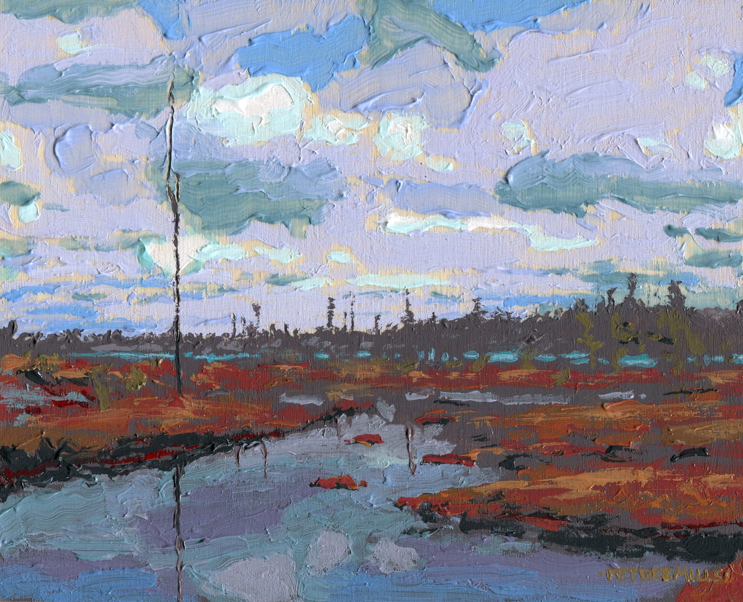 Clouds Over Bog Pools