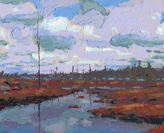 Clouds Over Bog Pools