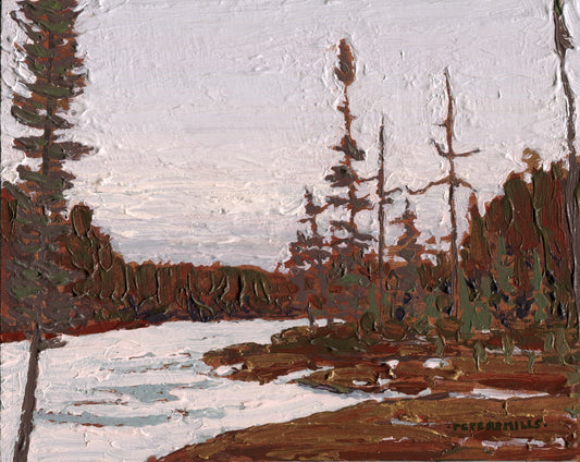 Cold Day at Dizzy Bog