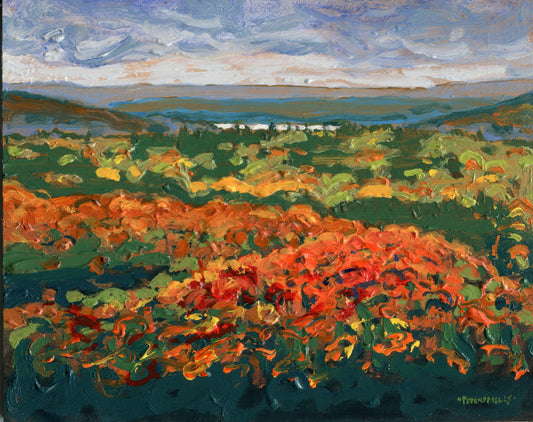 Colour on a Gloomy Day