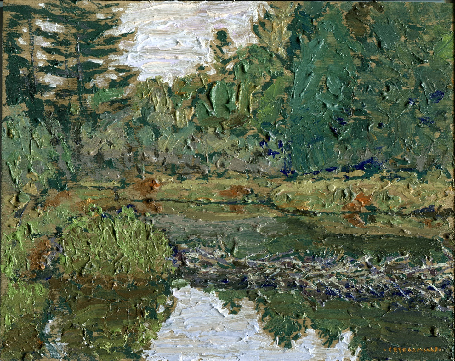 Creek with Small Dam