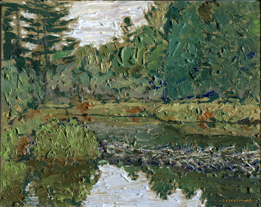 Creek with Small Dam