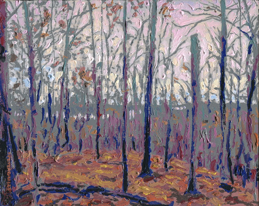 Evening Bluff and Soft Light