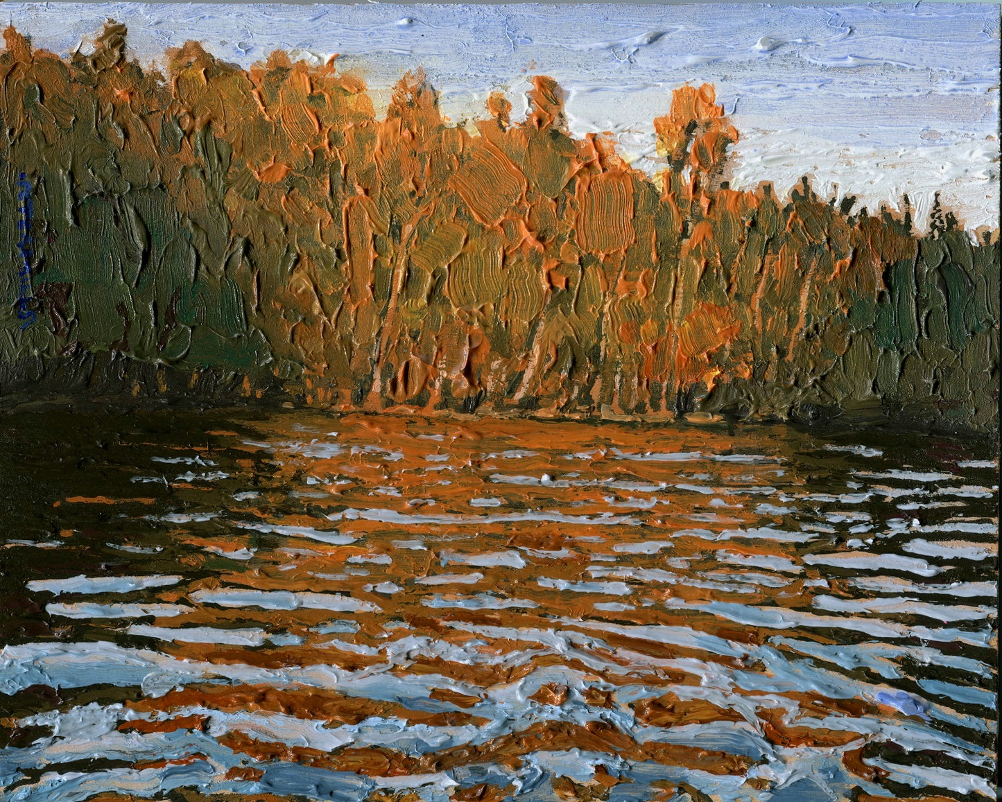 Evening Light on Shore