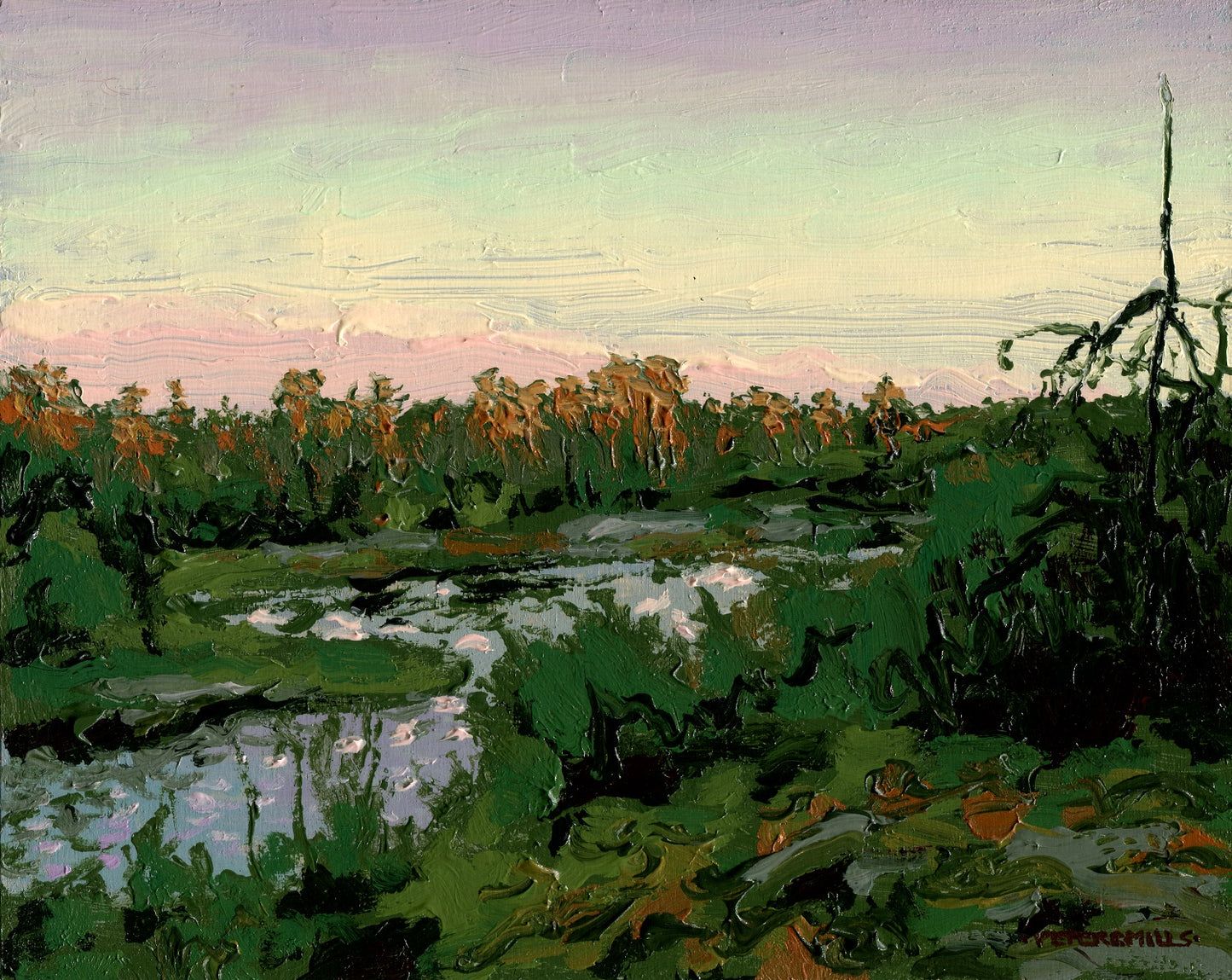 Evening Pond