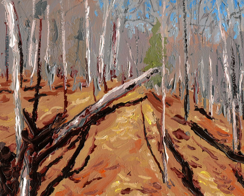 Fallen Tree, October