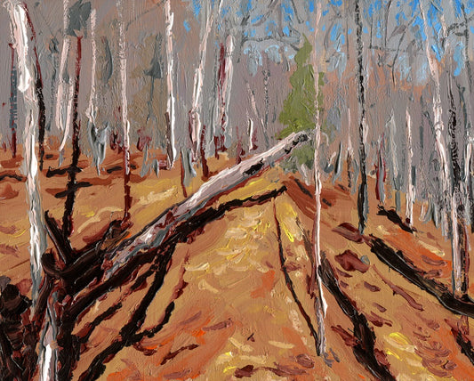 Fallen Tree, October