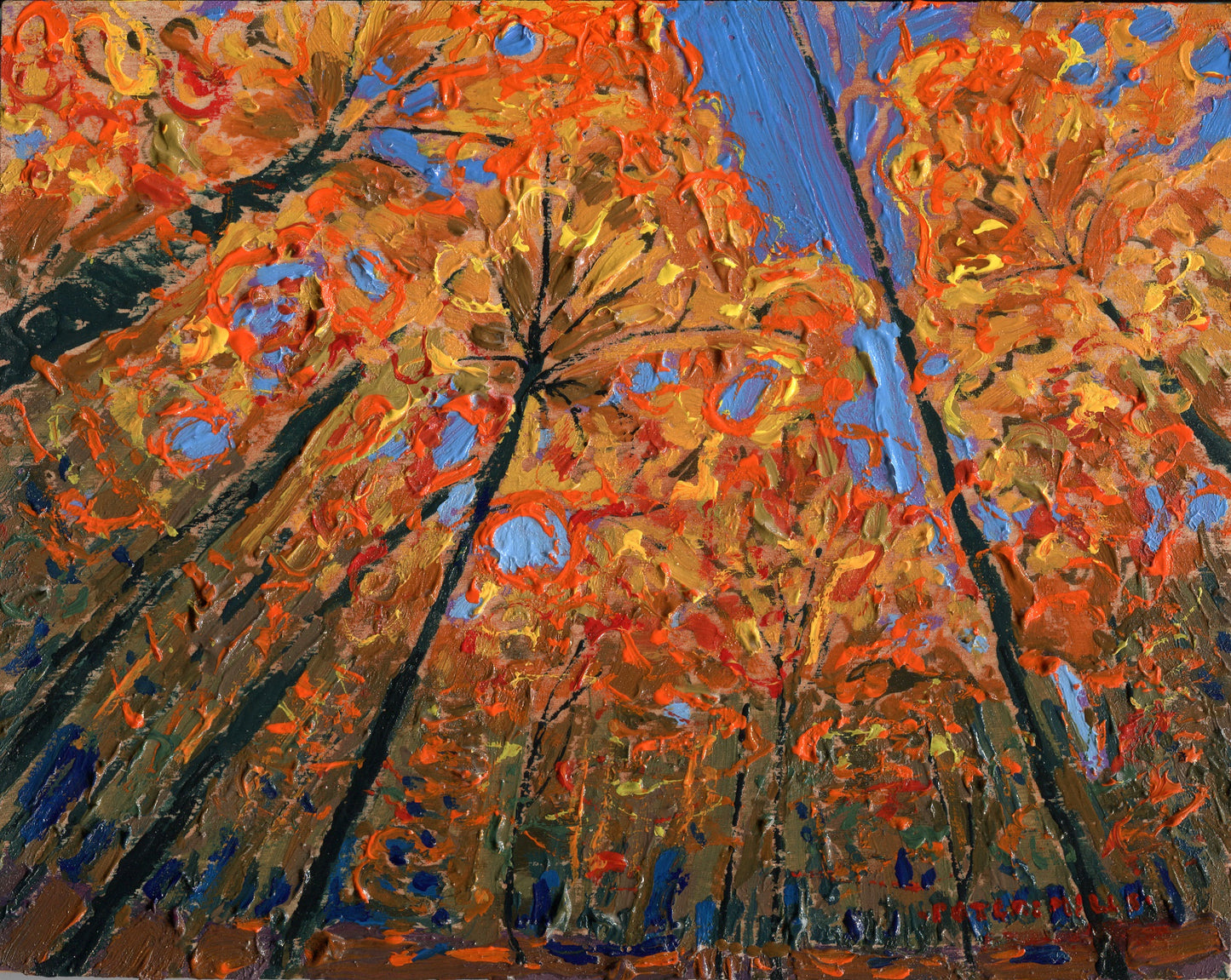 Fiery Maples