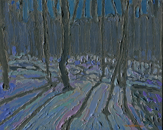 Forest Shadows and Winter Moon