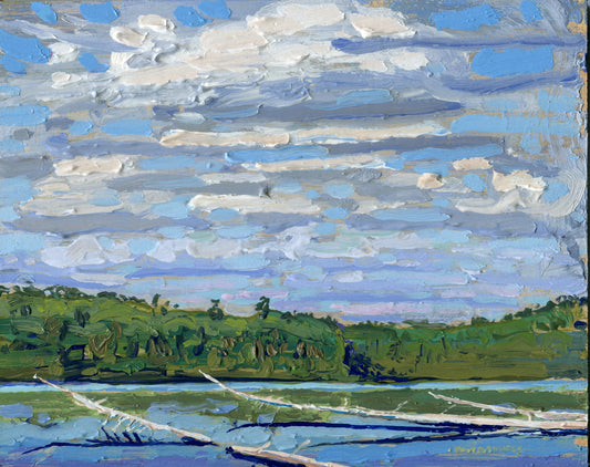 Found Lake, Summer Day