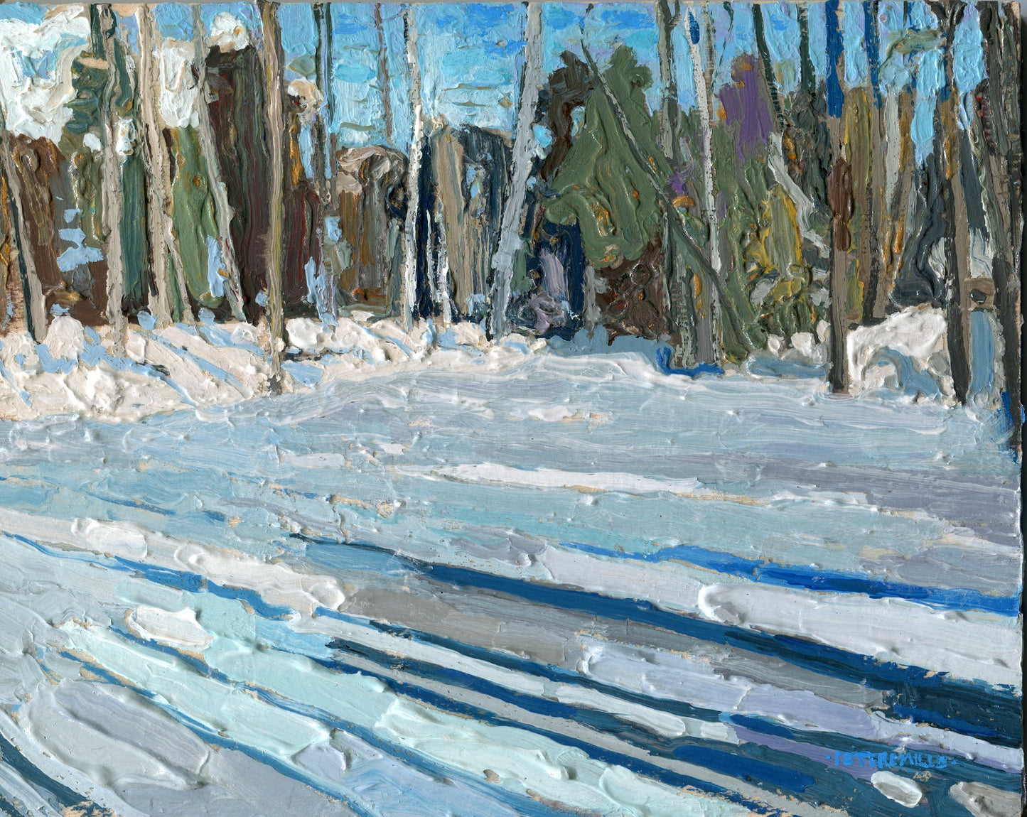 Frozen Pool in the Woods