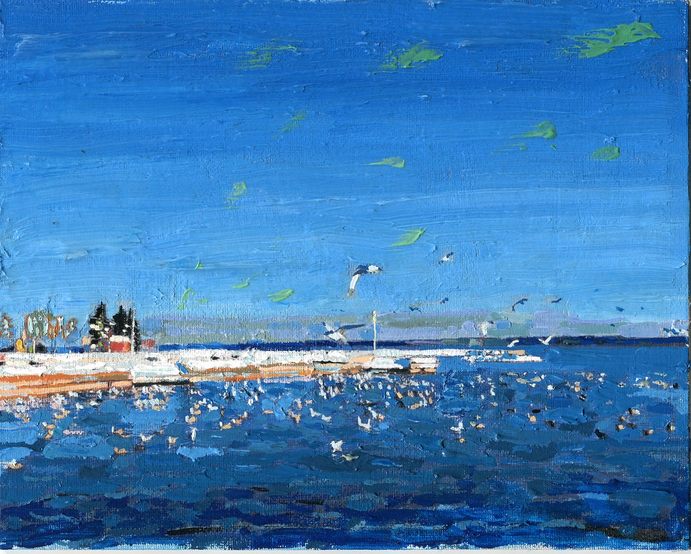 Gulls at the Barrie Waterfront