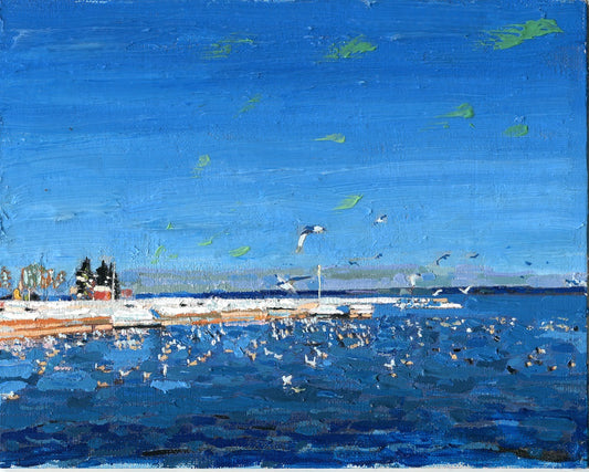 Gulls at the Barrie Waterfront