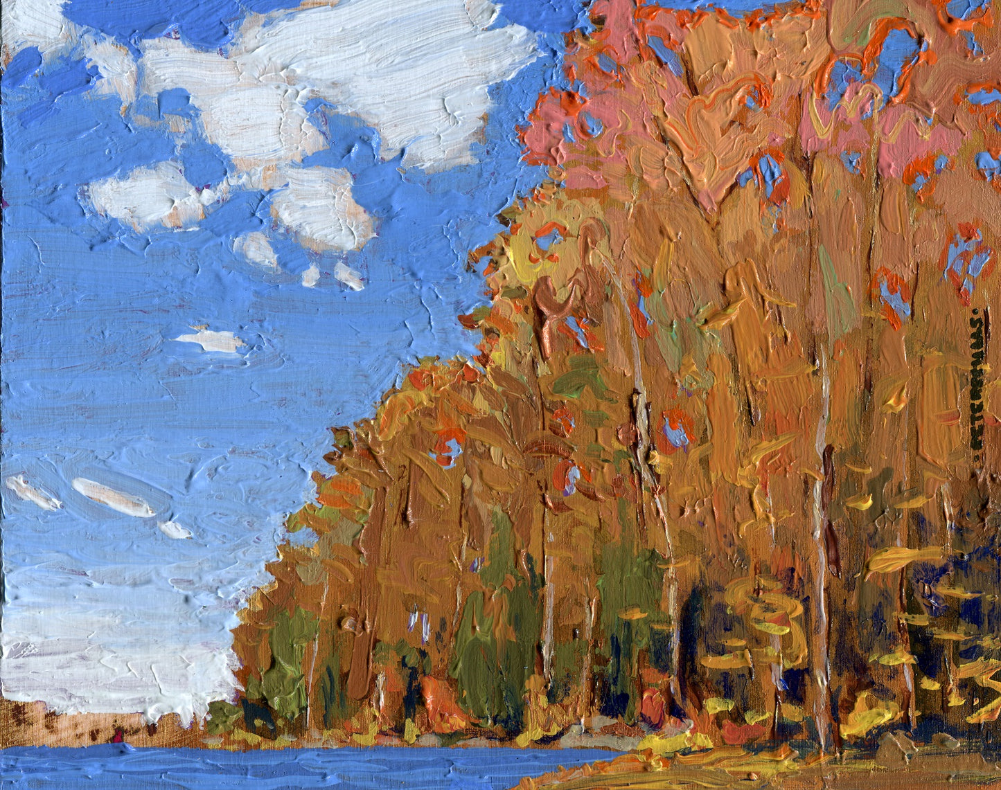 Hardwood Shore