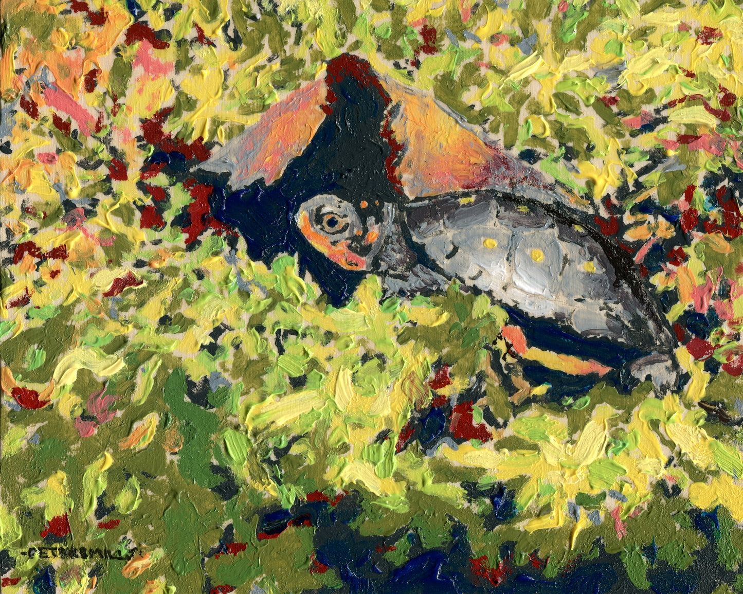 Hatchling Spotted Turtle