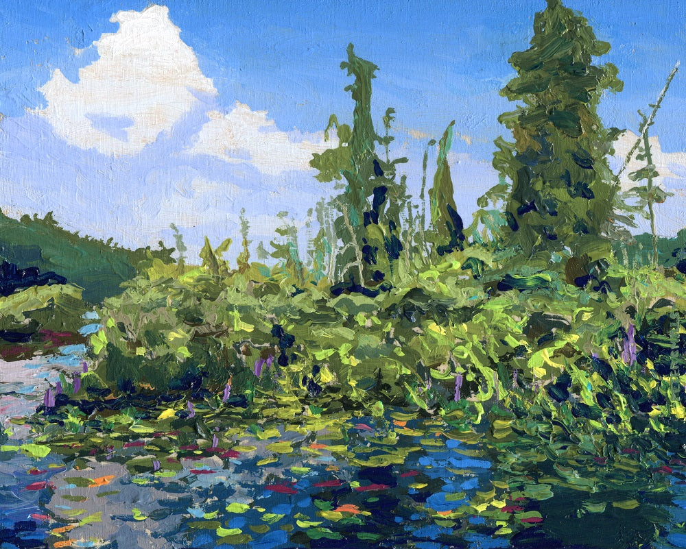 Henry's Island