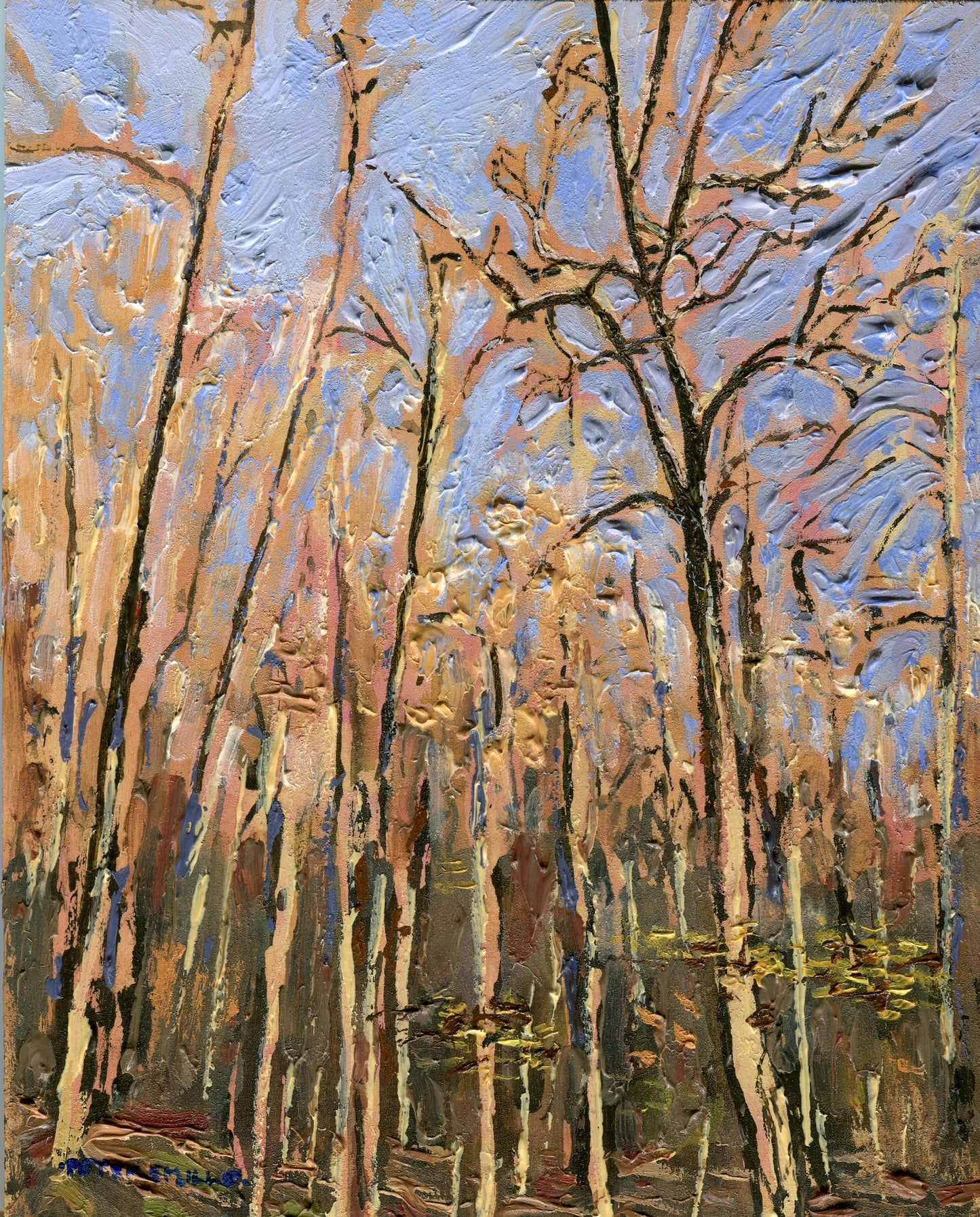 Horizontal Light in the Woods