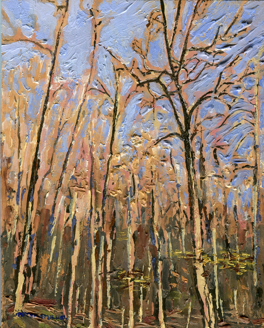 Horizontal Light in the Woods