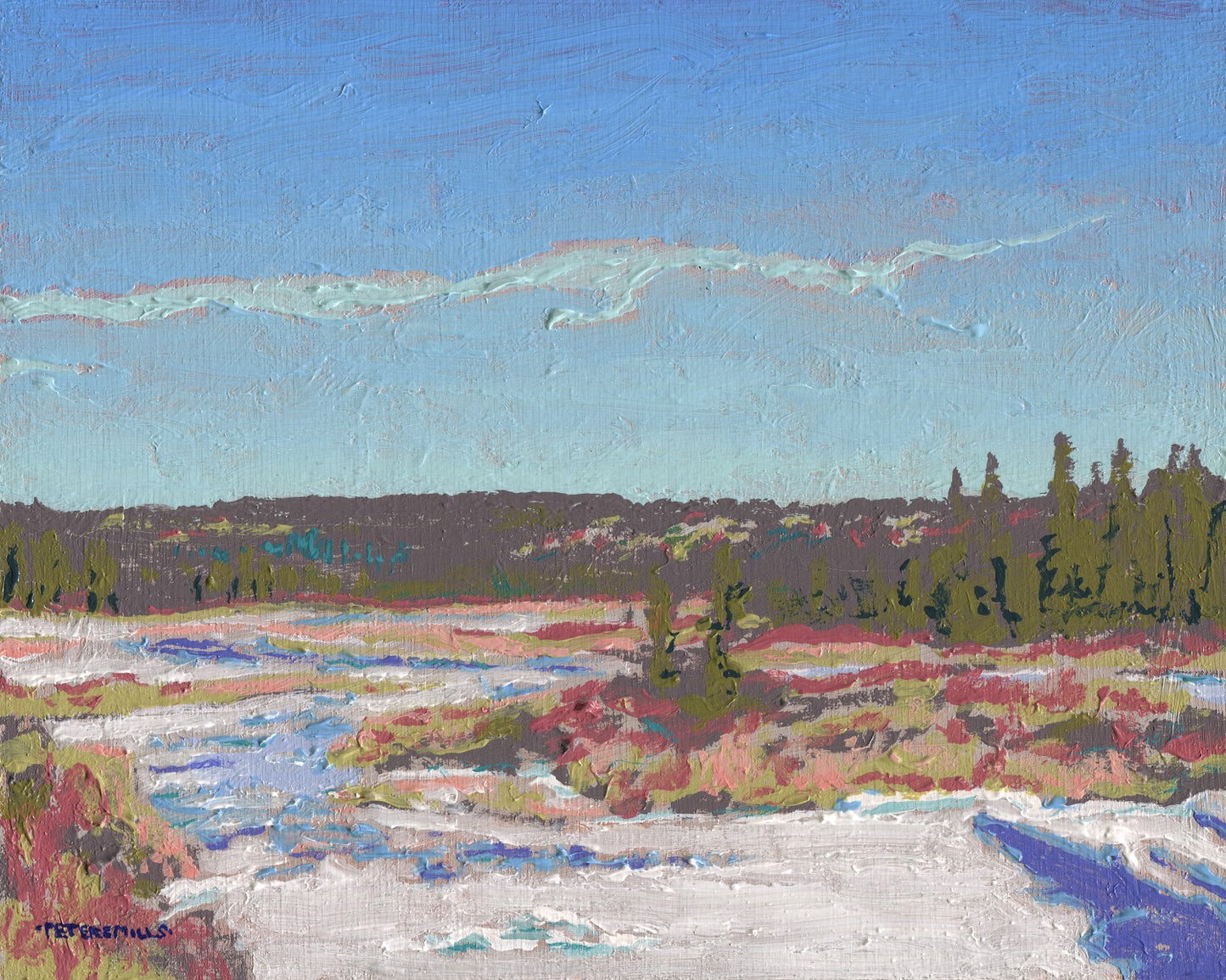 Ice on Costello Creek