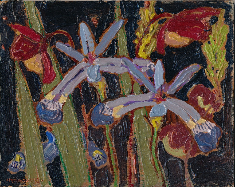 Iris and Pitcher