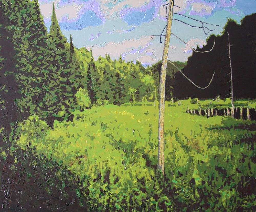 June Meadow