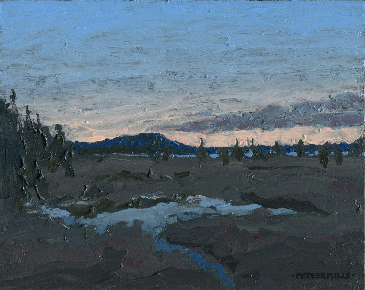 Late Evening Marsh