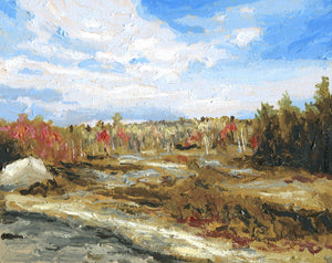 Late Fall Colour on the Barrens