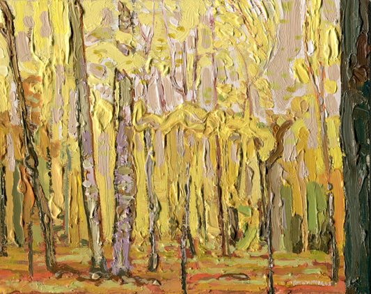 Late Sugar Maple Colour