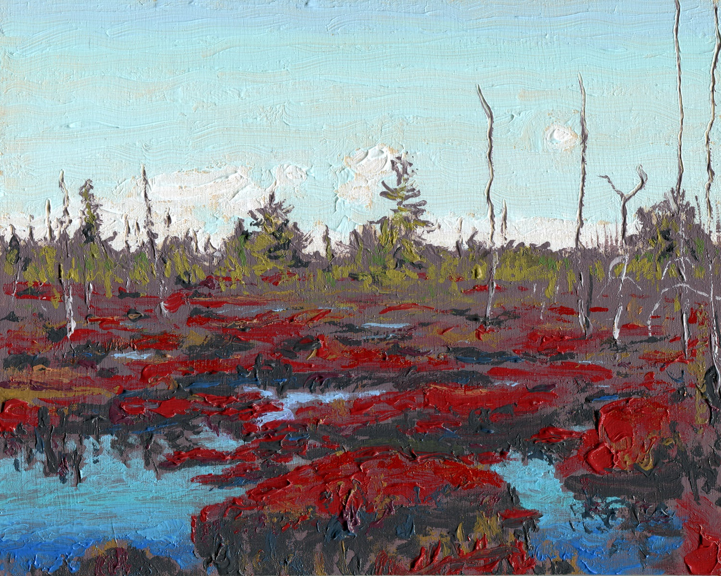 Leatherleaf Islands