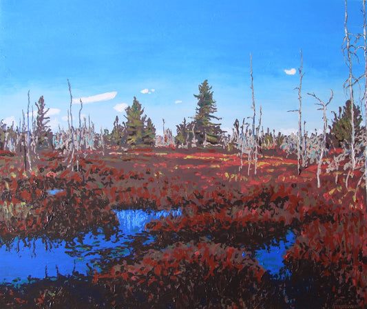 Leatherleaf Islands II