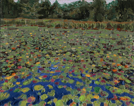 Lillies at Big Red Lake