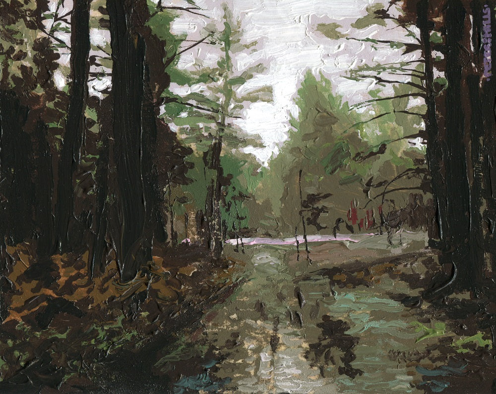 Little Bog in the Pines