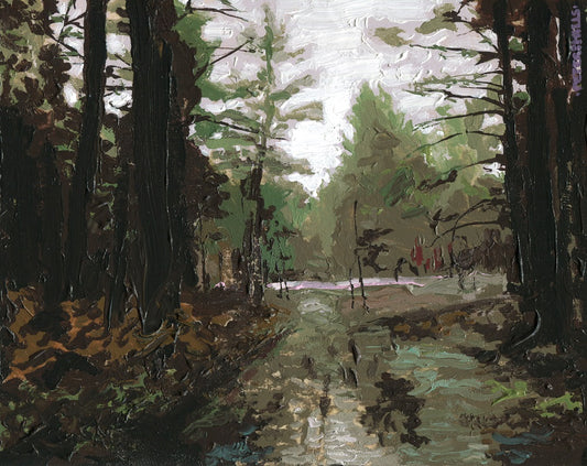 Little Bog in the Pines