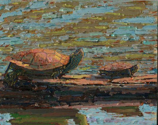 Map Turtles Basking