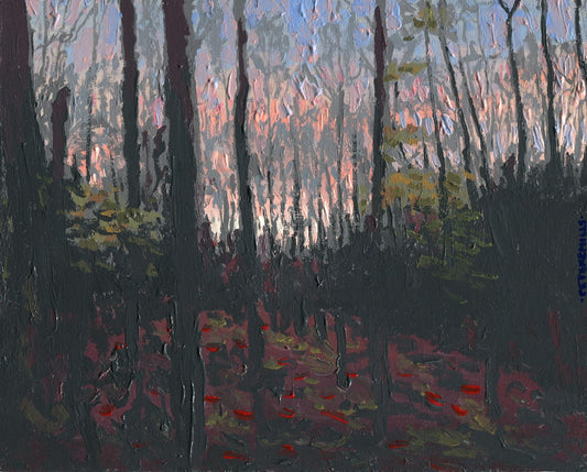 Maples at Sundown