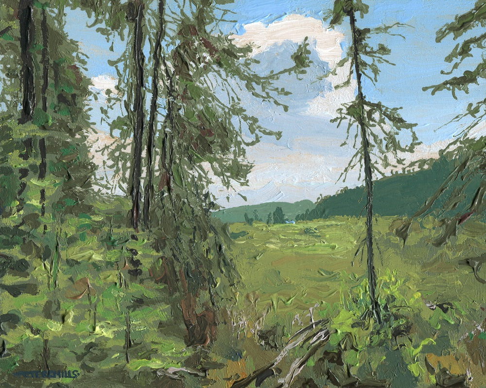 Marsh at Cache Lake