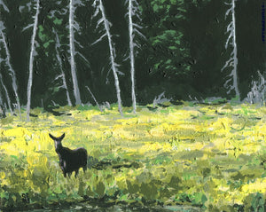 Moose and Sunlit Meadow