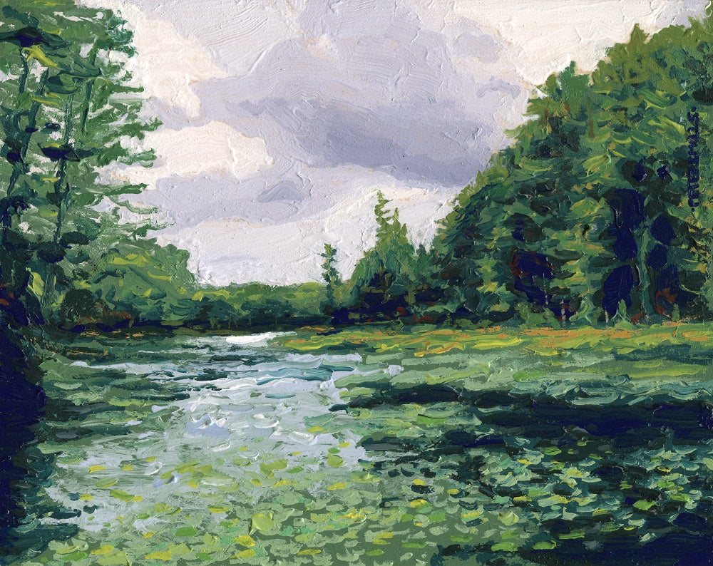 Northern Lily Pond