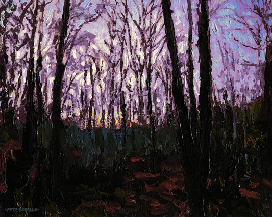 November Evening