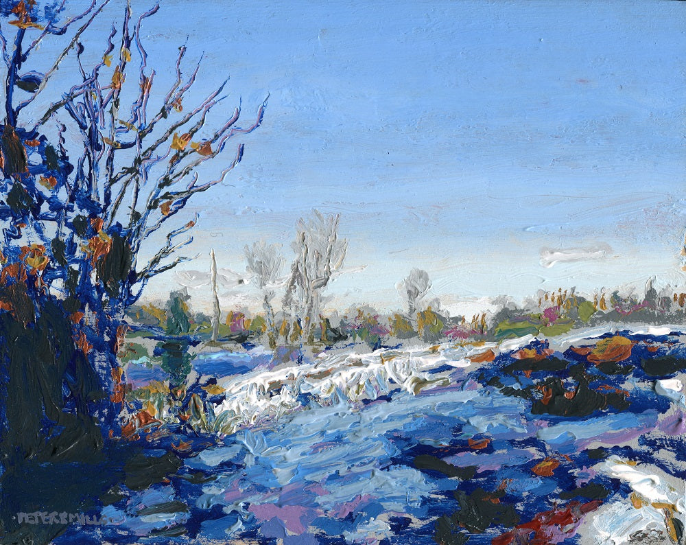 Oak Barrens, December