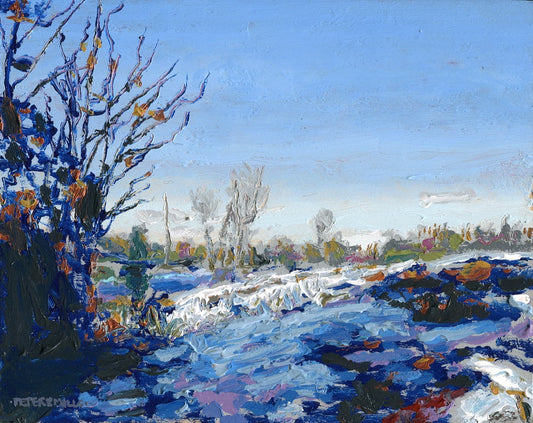 Oak Barrens, December