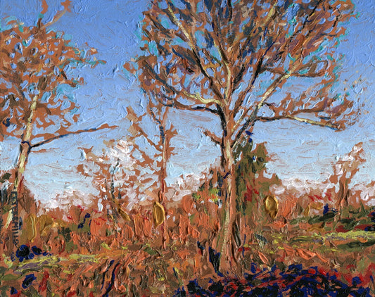 Oaks and Cherries, May