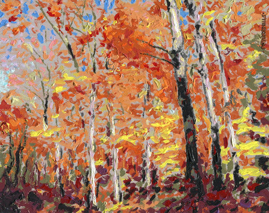 October Trees and Leaves