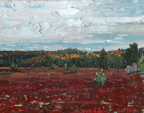 Old Airfield, Algonquin Park