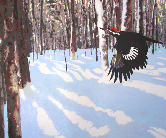 Pileated Woodpecker